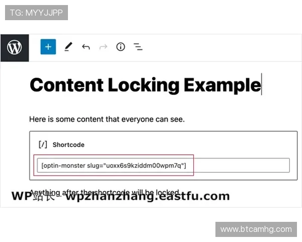 皇冠集团网址登录页面无法访问的应急处理措施和技术支持
