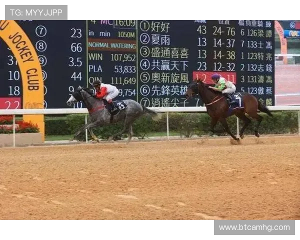 专业澳门赛马咨询团队为您分析赛事走向,提供详细投注策略和数据支持 专业澳门赛马咨询团队为您分析赛事走向,提供详细投注策略和数据支持