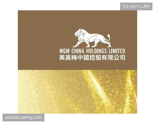 探讨美高梅中國控股有限公司在中国合法运营的合规策略与风险控制措施