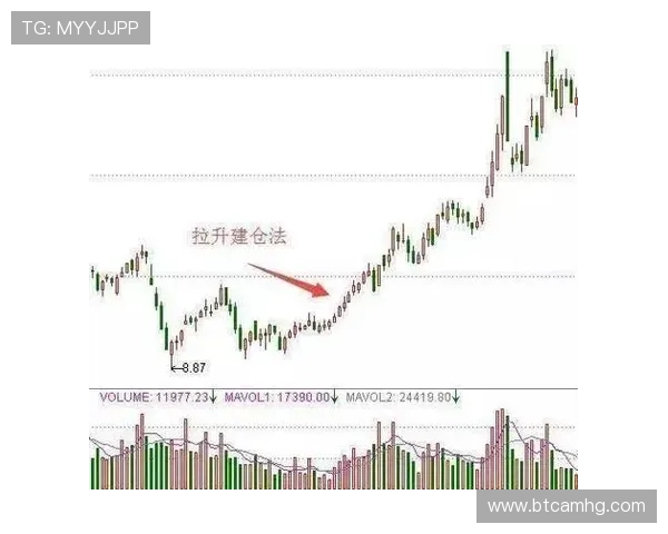 新澳门真人国际最新优惠政策解析，助你轻松把握每一次赢取机会